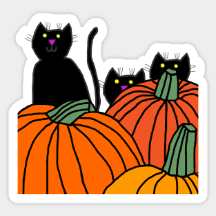 Three Black Cats in the Halloween Pumpkin Patch Sticker